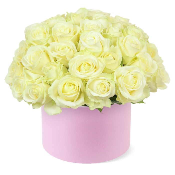 An elegant hat box arrangement overflows with delicate cream and pale ivory roses, forming a plush, domed bouquet that radiates romance and understated luxury, much like a thoughtful anniversary gift exchanged in Grove Park. Each rose is captured in exquisite detail, its velvety petals unfurling in concentric layers that spiral out from a soft, warm center where traces of pastel yellow glow gently against the paler outer petals. The blooms are positioned so tightly together that they create a continuous surface, with no obvious gaps, giving the impression of one sculptural mound of flowers. Small touches of fresh green foliage peek out at the base where roses meet the rim of the container, grounding the arrangement and hinting at the natural stems below. The hat box that cradles this floral abundance is a soft pastel pink, cylindrical and smooth, with a matte finish suggesting high-quality, tactile paper or fabric. Its gentle blush tone adds a romantic underpinning to the design and echoes the kind of chic presentation you might expect from Flowers Grove Park, carefully assembled for same-day delivery in the local area. Against a bright white background, the roses' subtle gradations of cream, ivory, and light yellow become more pronounced, and the interplay of light and shadow across the petals adds depth and dimension. This composition evokes quiet celebration: the sense of pausing in a calm Grove Park living room, perhaps with the Thames nearby, to admire a thoughtfully curated hat box of roses that marks years spent together. It represents a blend of classic floral artistry and modern styling, ideal for anniversaries, milestone moments, or simply reminding someone that they are deeply cherished.