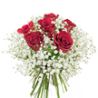 Capturing both simplicity and heartfelt emotion, this refined bouquet showcases six radiant crimson roses surrounded by a soft halo of pure white baby's breath, hand-arranged by skilled florists in Grove Park. Each rose reveals lush, velvety petals in a deep spiral, their intense red a symbol of admiration and passion. The delicate spray of gypsophila forms a frothy, cloud-like border, enhancing the lavish roses and adding a breath of freshness to the composition, much like the tranquil greenery found at nearby Grove Park. The stems below are neatly gathered, alluding to bespoke arrangements picked at the dawn of day along local streets. Set against a pristine white background, the bold and gentle tones balance harmoniously, creating a bouquet that radiates warmth, elegance, and sincerity. Thoughtfully designed for special occasions-whether a celebration of love, a birthday surprise, or a gesture of thanks-this arrangement extends Grove Park's tradition of friendship and generous spirit, offering locally crafted beauty delivered with care to every household in the area.