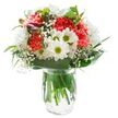 Radiating optimistic freshness and crafted with Grove Park's expert touch, this bouquet brings together the cheerful character of coral carnations and the innocent joy of white daisies. The carnations' lively, ruffled petals create waves of colour at the bouquet's center, while surrounding white chrysanthemums and classic daisy faces add a touch of countryside nostalgia. Baby's breath delicately meanders through the arrangement, lending an ethereal softness much like a warm breeze through nearby parks. The inclusion of a few magenta alstroemeria buds tucked subtly to the side foretell blooms yet to grace the bouquet, adding intrigue and layering of tone. Glossy deep green leaves and slender foliage cocoon the flowers, contrasting beautifully against the white background and enhancing the sense of verdant vitality. Encased within a clear glass vase filled with pristine water, the stems stand exposed in their natural grace. Bathed in bright, shadowless light, every bloom is celebrated for its texture and hue. This arrangement, ideal for thoughtful gifting or refreshing a home on Grove Park's tree-lined avenues, channels hope, gratitude, and sincerity in each carefully curated detail.